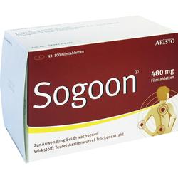 SOGOON 480 mg Filmtabletten