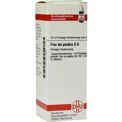 FLOR DE PIEDRA D 6 Dilution