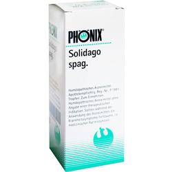 PHÖNIX SOLIDAGO spag.Mischung